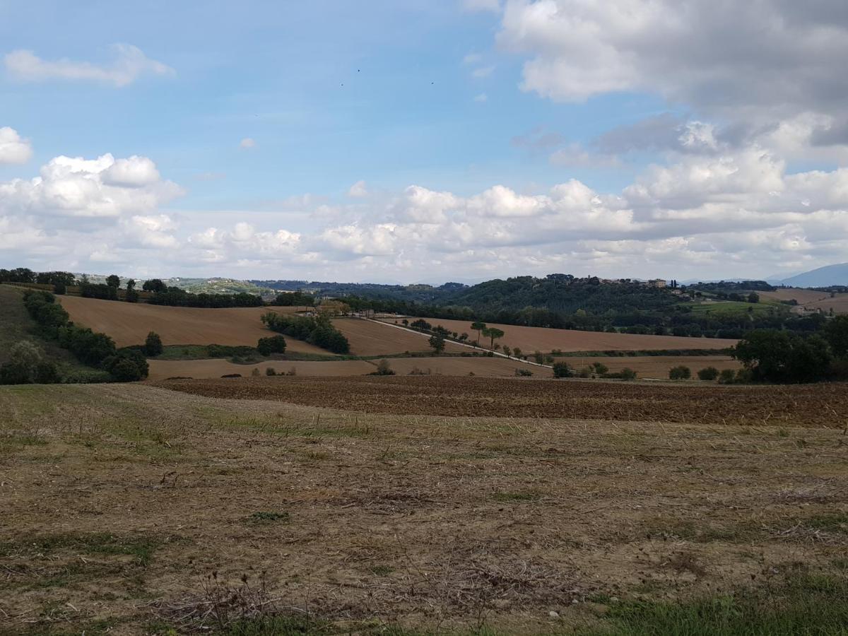Agriturismo Il Pappamerlo Pila  Eksteriør bilde